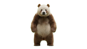 七仔22